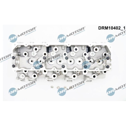 Dr.Motor Automotive Zylinderkopf DRM10402