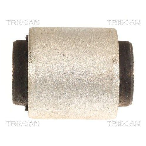 TRISCAN Lagerung, Lenker 8500 118064