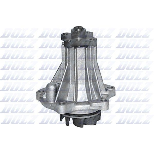 DOLZ Wasserpumpe, Motork&uuml;hlung F131