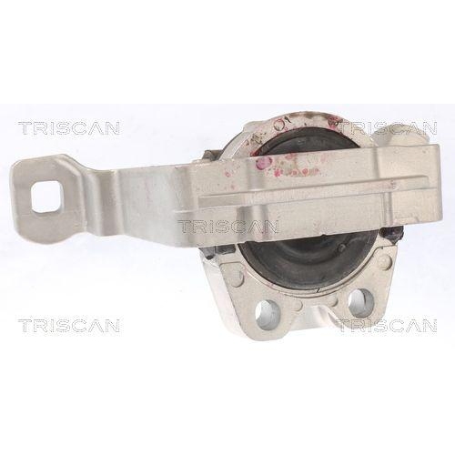 TRISCAN Lagerung, Motor 8505 10105