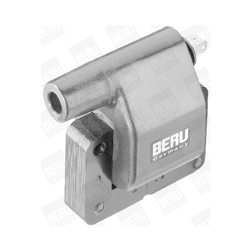 BorgWarner (BERU) Z&uuml;ndspule ZS282