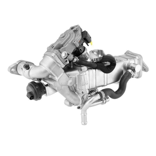 BorgWarner AGR-Modul OE-Version/Erstausr&uuml;stung 792003D0