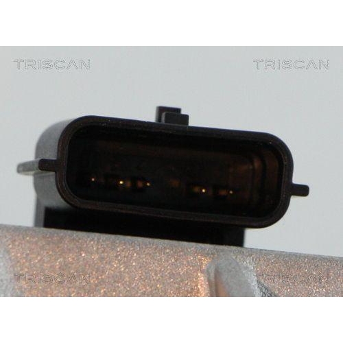 TRISCAN AGR-Ventil 8813 25042