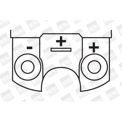 BorgWarner (BERU) Z&uuml;ndspule ZS316