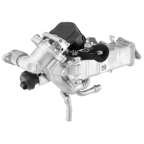 BorgWarner AGR-Modul OE-Version/Erstausr&uuml;stung 792004D0