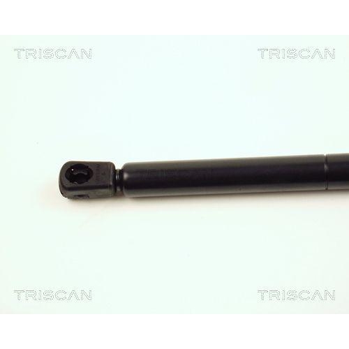 TRISCAN Gasfeder, Motorhaube 8710 16104
