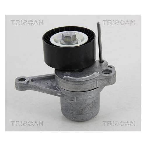 TRISCAN Riemenspanner, Keilrippenriemen 8641 103040