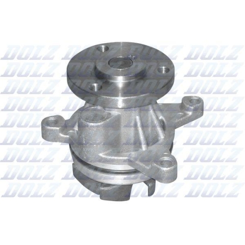DOLZ Wasserpumpe, Motork&uuml;hlung F150