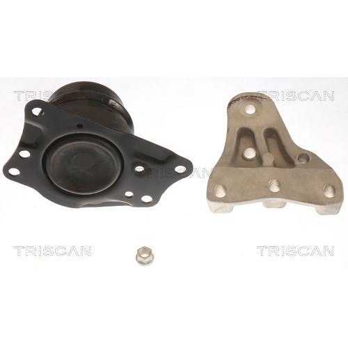 TRISCAN Lagerung, Motor