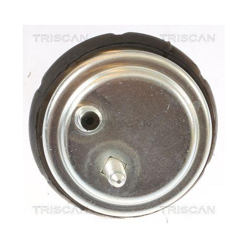 TRISCAN Lagerung, Motor 8505 11102