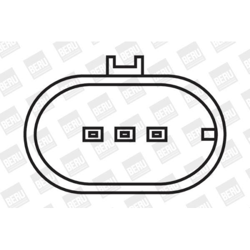 BorgWarner (BERU) Z&uuml;ndspule ZS321