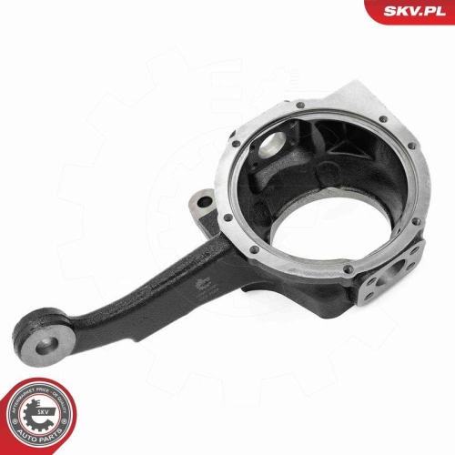 ESEN SKV Achsschenkel, Radaufh&auml;ngung