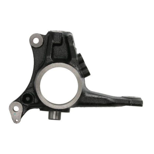 REINHOCH Achsschenkel, Radaufh&auml;ngung RH08-2045