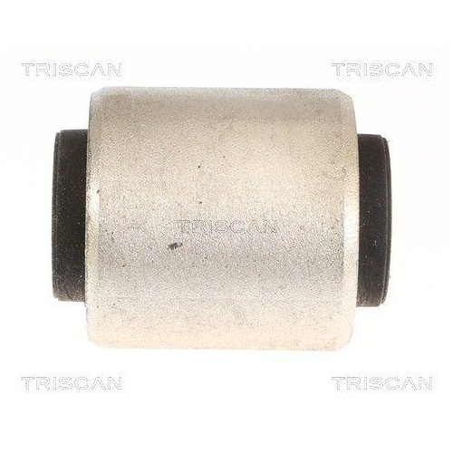 TRISCAN Lagerung, Lenker 8500 118062