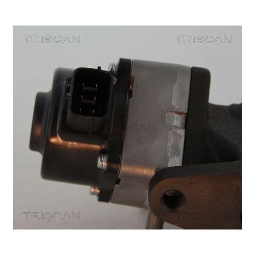 TRISCAN AGR-Ventil 8813 14005