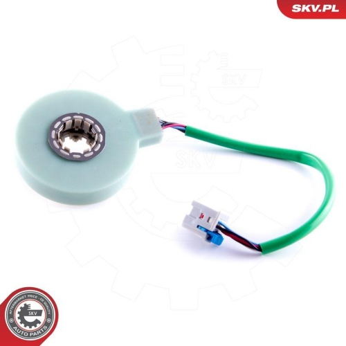 ESEN SKV Lenkwinkelsensor 17SKV479