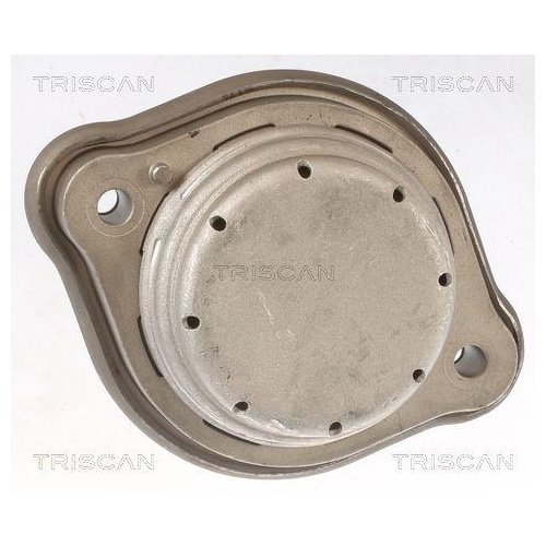 TRISCAN Lagerung, Motor 8505 11119