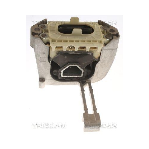TRISCAN Lagerung, Motor 8505 29164