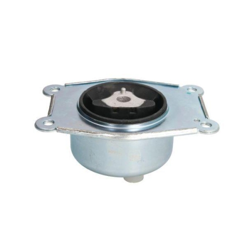 REINHOCH Lagerung, Motor RH11-5034