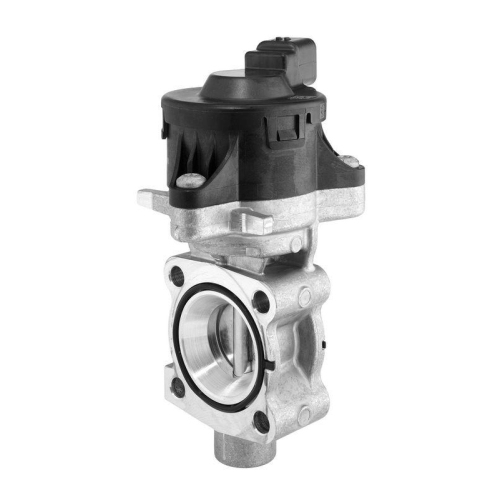 BorgWarner AGR-Ventil OE-Version/Erstausr&uuml;stung 710445D