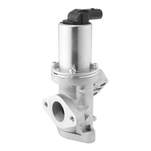 BorgWarner AGR-Ventil 729019D