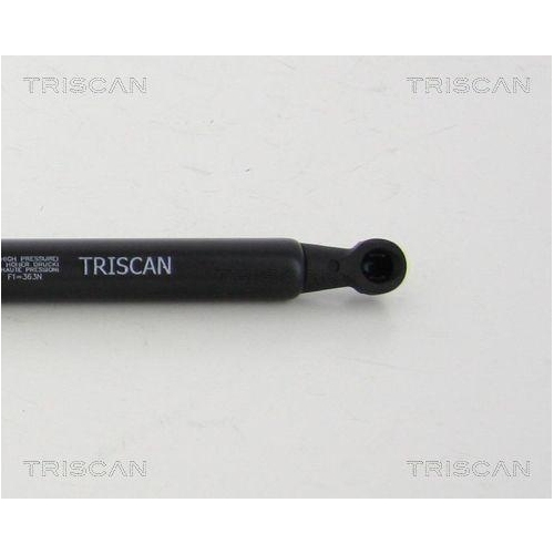 TRISCAN Gasfeder, Koffer-/Laderaum 8710 24255