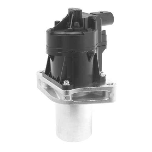 BorgWarner AGR-Ventil 712076D