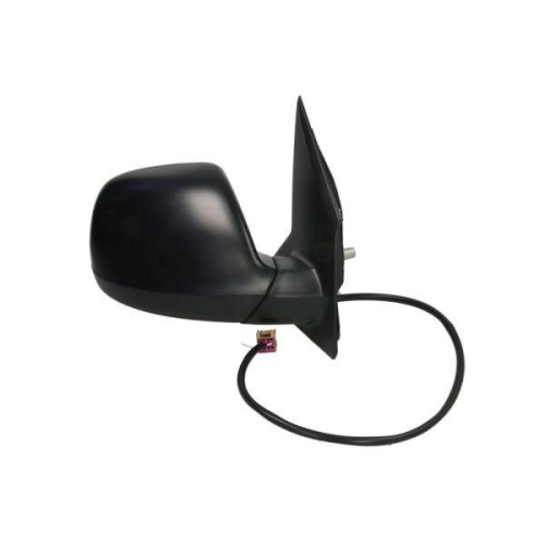 BLIC Außenspiegel 5402-01-1623362P