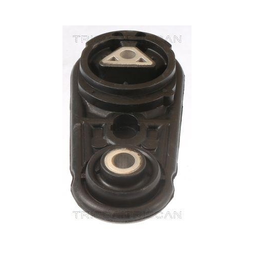 TRISCAN Lagerung, Motor 8505 25106