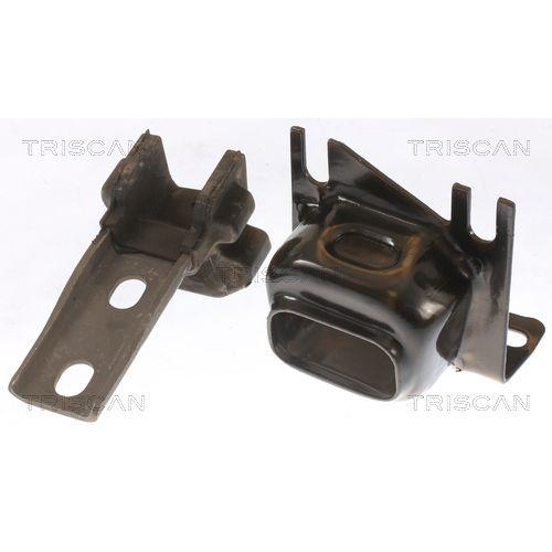 TRISCAN Lagerung, Motor 8505 25117