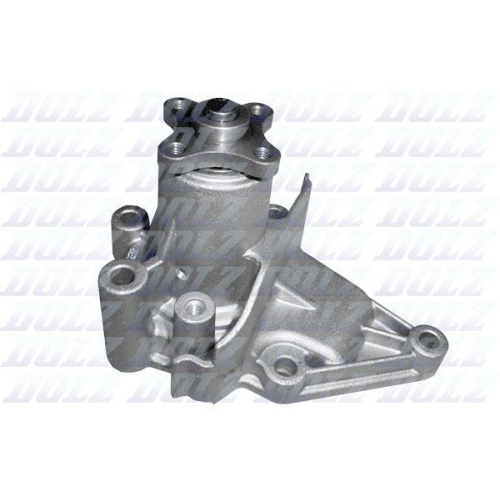 DOLZ Wasserpumpe, Motork&uuml;hlung H221