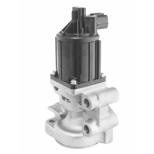 BorgWarner AGR-Ventil 712082D