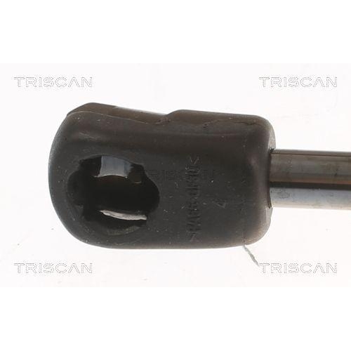 TRISCAN Gasfeder, Koffer-/Laderaum 8710 67217