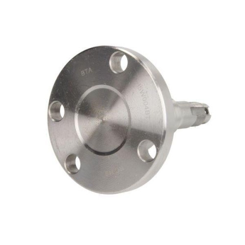 BTA Achszapfen, Achskörper H5W004BTA