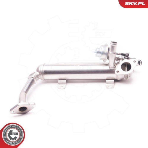 ESEN SKV AGR-Ventil 14SKV118