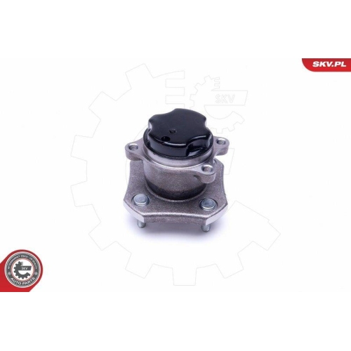 ESEN SKV Radlagersatz