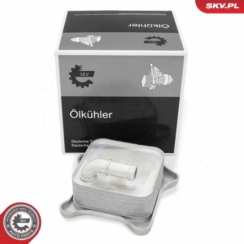 ESEN SKV &Ouml;lk&uuml;hler, Motor&ouml;l 31SKV289