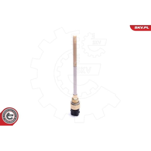 ESEN SKV Sensor, Motor&ouml;lstand