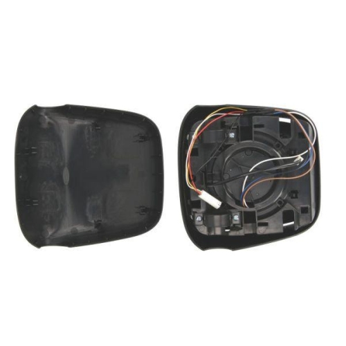 PACOL Au&szlig;enspiegel DAF-MR-037