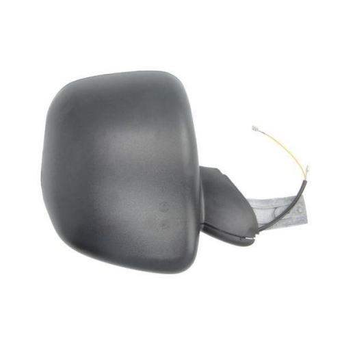 PACOL Au&szlig;enspiegel SCA-MR-006