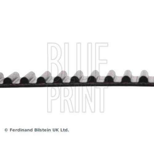 BLUE PRINT Zahnriemen ADD67515