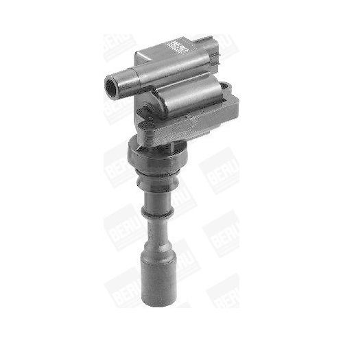 BorgWarner (BERU) Z&uuml;ndspule ZSE087