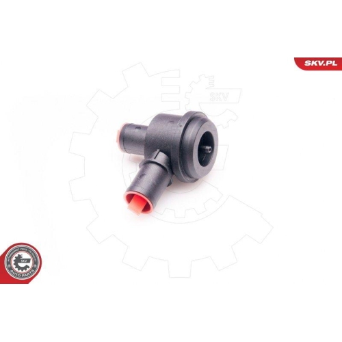ESEN SKV Ventil, Kurbelgehäuseentlüftung 31SKV014