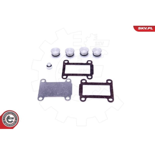 ESEN SKV Reparatursatz, Saugrohrmodul 49SKV527