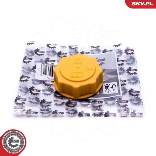ESEN SKV Verschlussdeckel, K&uuml;hlmittelbeh&auml;lter 61SKV007