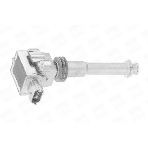 BorgWarner (BERU) Z&uuml;ndspule ZS311