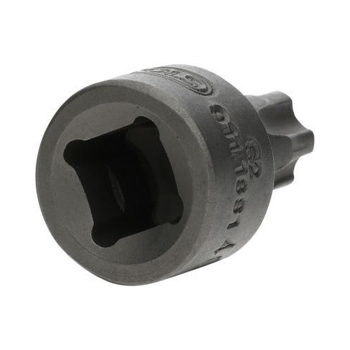 1/4 Zoll Bit-Stecknuss TorxPlus mit Stirnlochbohrung IPR40 extra kurz 911.1881