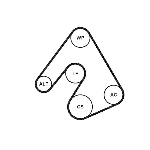 CONTINENTAL CTAM Keilrippenriemensatz 5PK1207K1