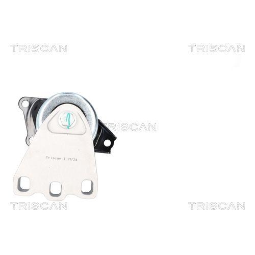 TRISCAN Lagerung, Motor