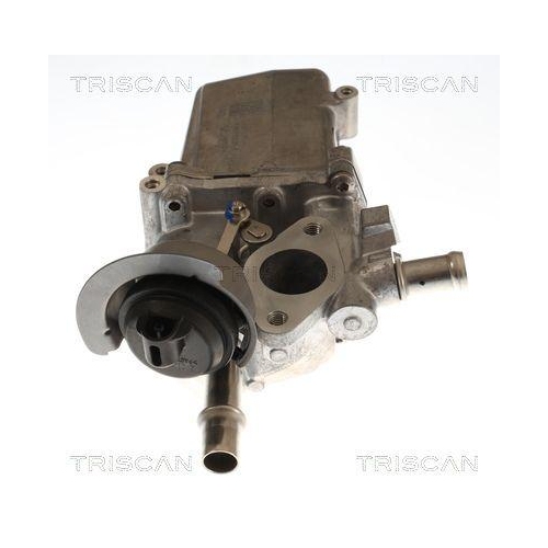 TRISCAN AGR-Ventil 8813 25048